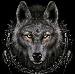 Meet your Posher, Jamyah